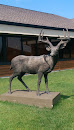 Buck Sculpture 