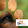 Nieuwe Hond Download on Windows