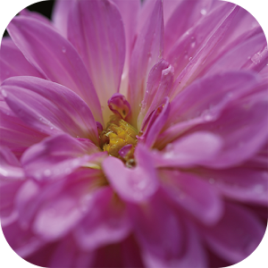 追憶アプリ.apk 1.1