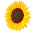 Flower Battery Indicator Download on Windows