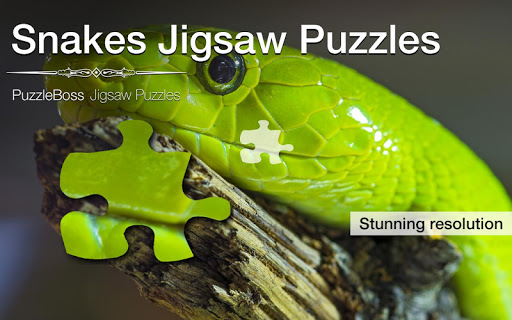 Snakes Jigsaw Puzzles