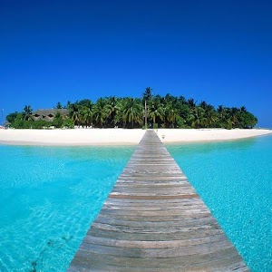 Tropical Paradise Wallpapers.apk 2.0.6