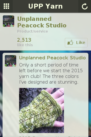 Unplanned Peacock Studio