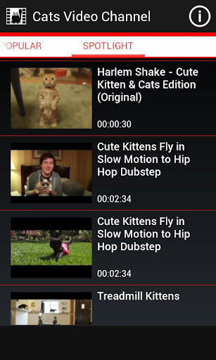 Fancy Cats Video Channel