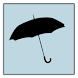 Do I Need An Umbrella?