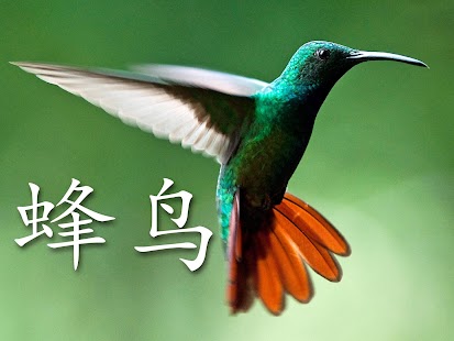 Free Download The Animals Book - Chinese APK for PC