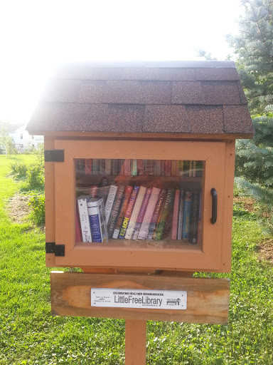 Little Free Library 6959