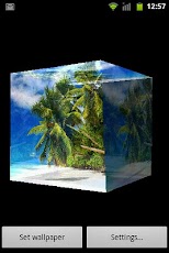 3D Coconut Tree