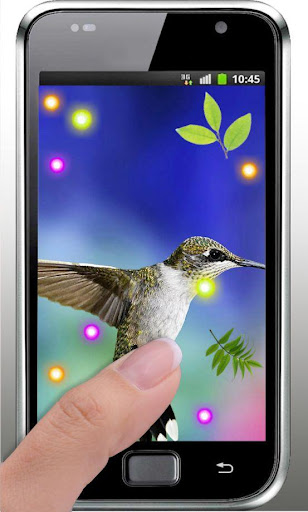 【免費個人化App】Cute Colibri HD live wallpaper-APP點子