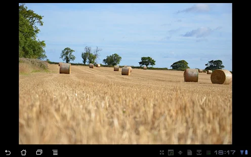 Windows Phone 8 backup includes SMS sync to Hotmail and Outlook.com | The Verge