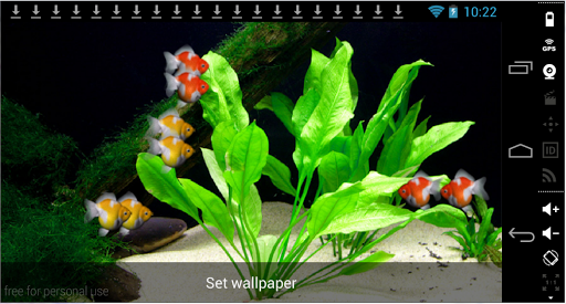 Goldfish Aquarium LWP