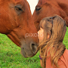 Kiss by Kirsi Bertolini - Animals Horses