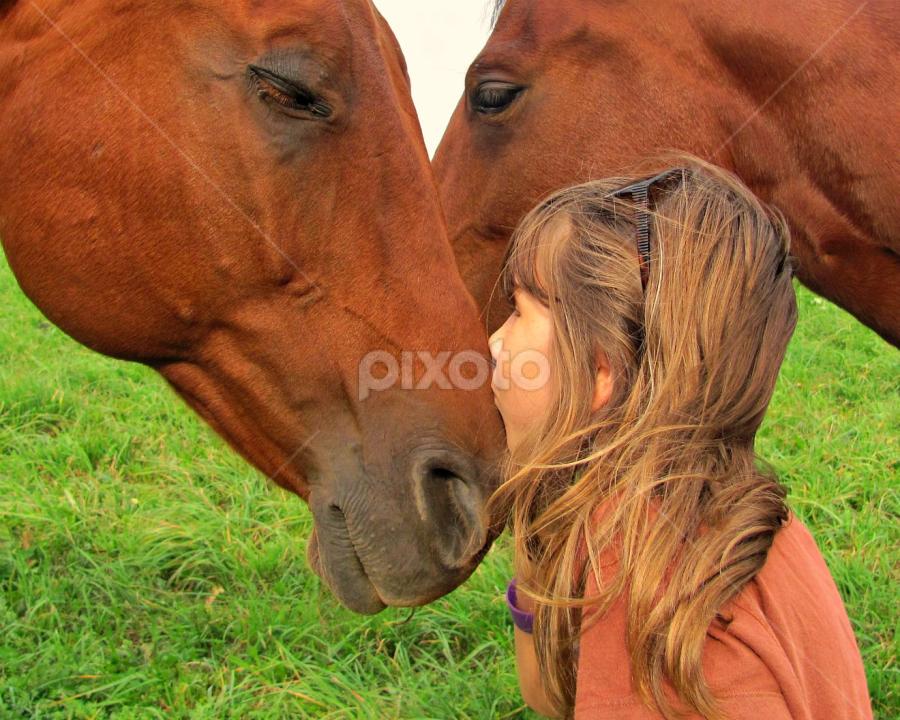 Kiss by Kirsi Bertolini - Animals Horses