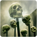 3D Skull (PRO) logo
