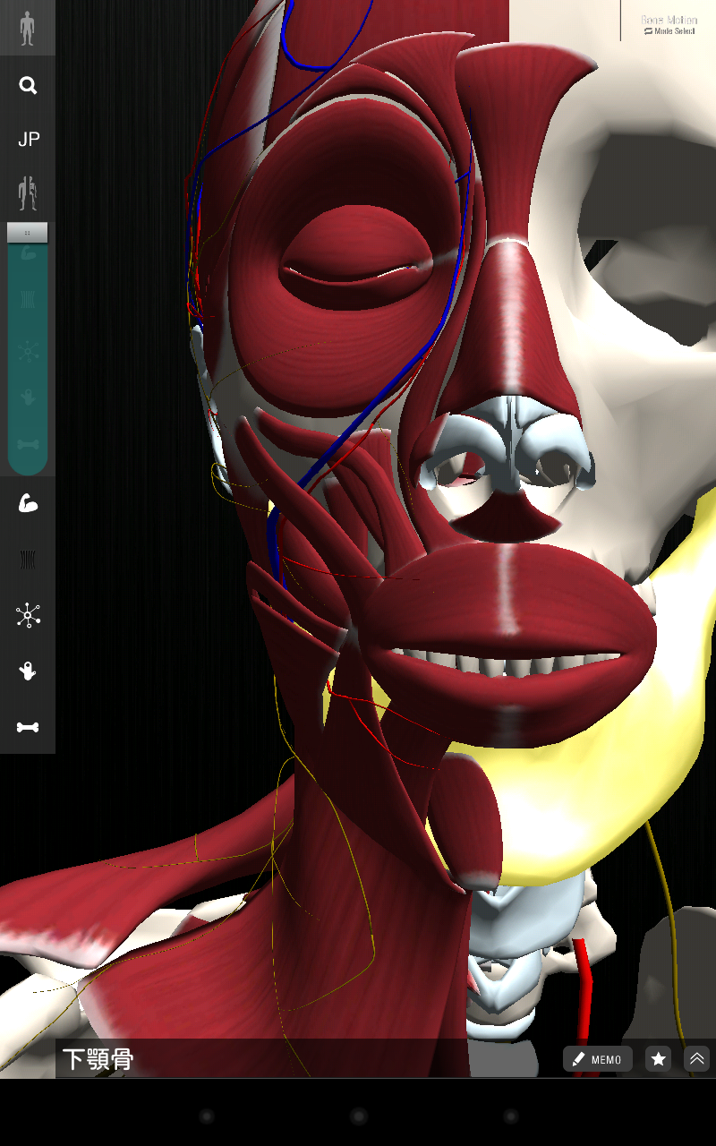 teamLabBody Lite Screen 2