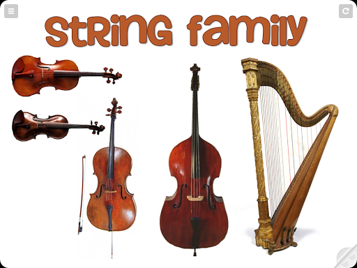 String Instruments Family