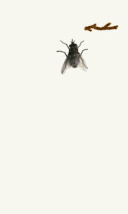 How to download My Fly 1.0 apk for pc