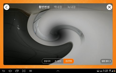비젼 아이디 Lite Screenshots 4