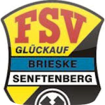 Cover Image of Télécharger FSV Brieske/Senftenberg 4.603 APK
