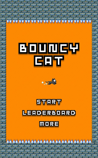 Bouncy Cat