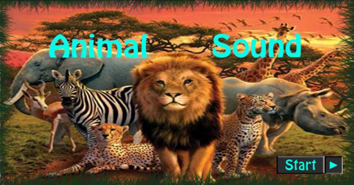 Animal Sound For Kids