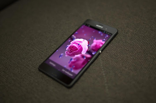 免費下載個人化APP|Purple Rose HD LiveWallpaper app開箱文|APP開箱王