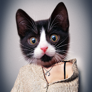 Meow: Cat Animal Face Hacks and cheats