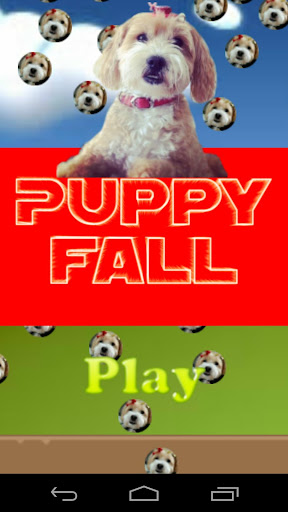 Puppy Fall