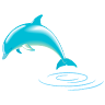 Dolphin Application icon