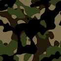 FM 21-75 Combat Skills logo