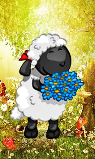 SHEEP WONDERFUL ZOO