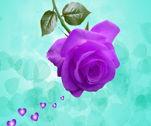 Purple Rose Live Wallpaper