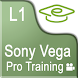 Sony Vegas Pro Basic Training