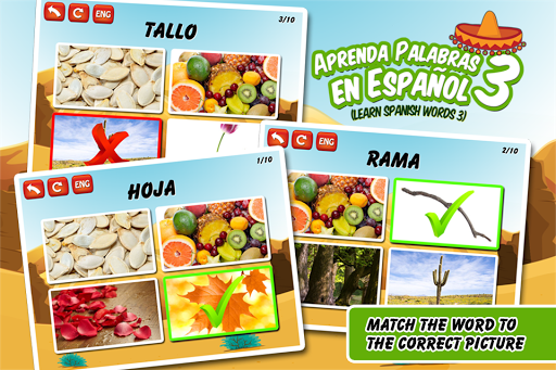 免費下載教育APP|Learn Spanish Vocabulary Free app開箱文|APP開箱王