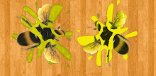 Bee Smasher APK