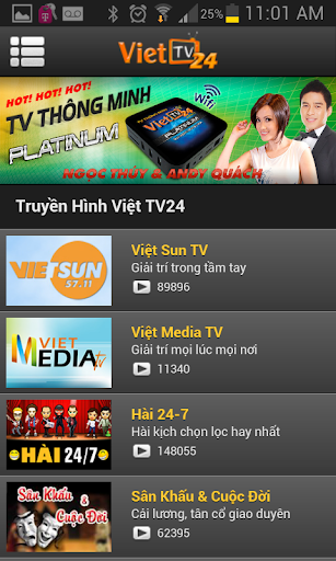 Việt TV24