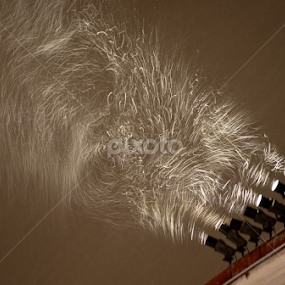 Vortex of snowflakes by Vladimir Bogovac - Landscapes Weather