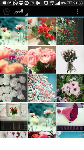 صور زهور
