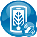 devicealive Samsung S4