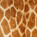Giraffe Keyboard Skin logo