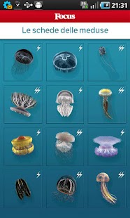 Focus Meteo Meduse Screenshots 3