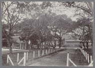 Gebouwen tussen bomen