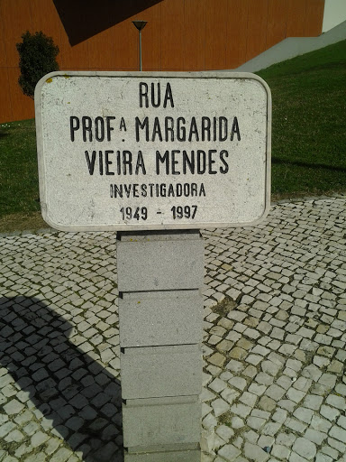 Rua Prof. Margarida Vieira Mendes