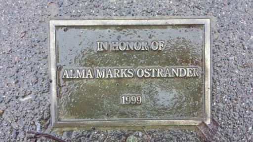 In Honor of Alma Marks Ostrander