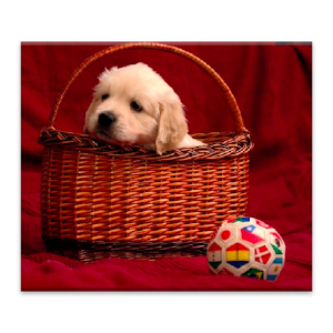 HotdogEd NNTP Provider 2.11