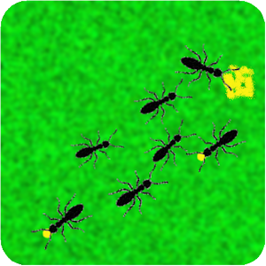 Ant Simulator.apk 1.3