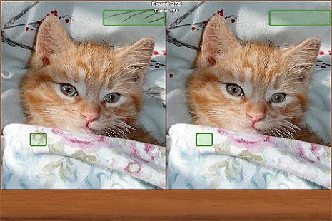 How to install Cats Spot the Difference 1.1 mod apk for bluestacks