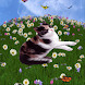 Field Play Live Wallpaper