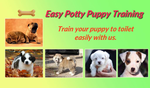 【免費生活App】Easy Potty Puppy Training-APP點子