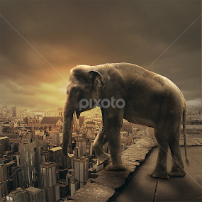 Suicide by Steven Chu - Digital Art Animals